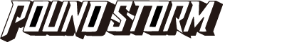 POUND STORMとは?